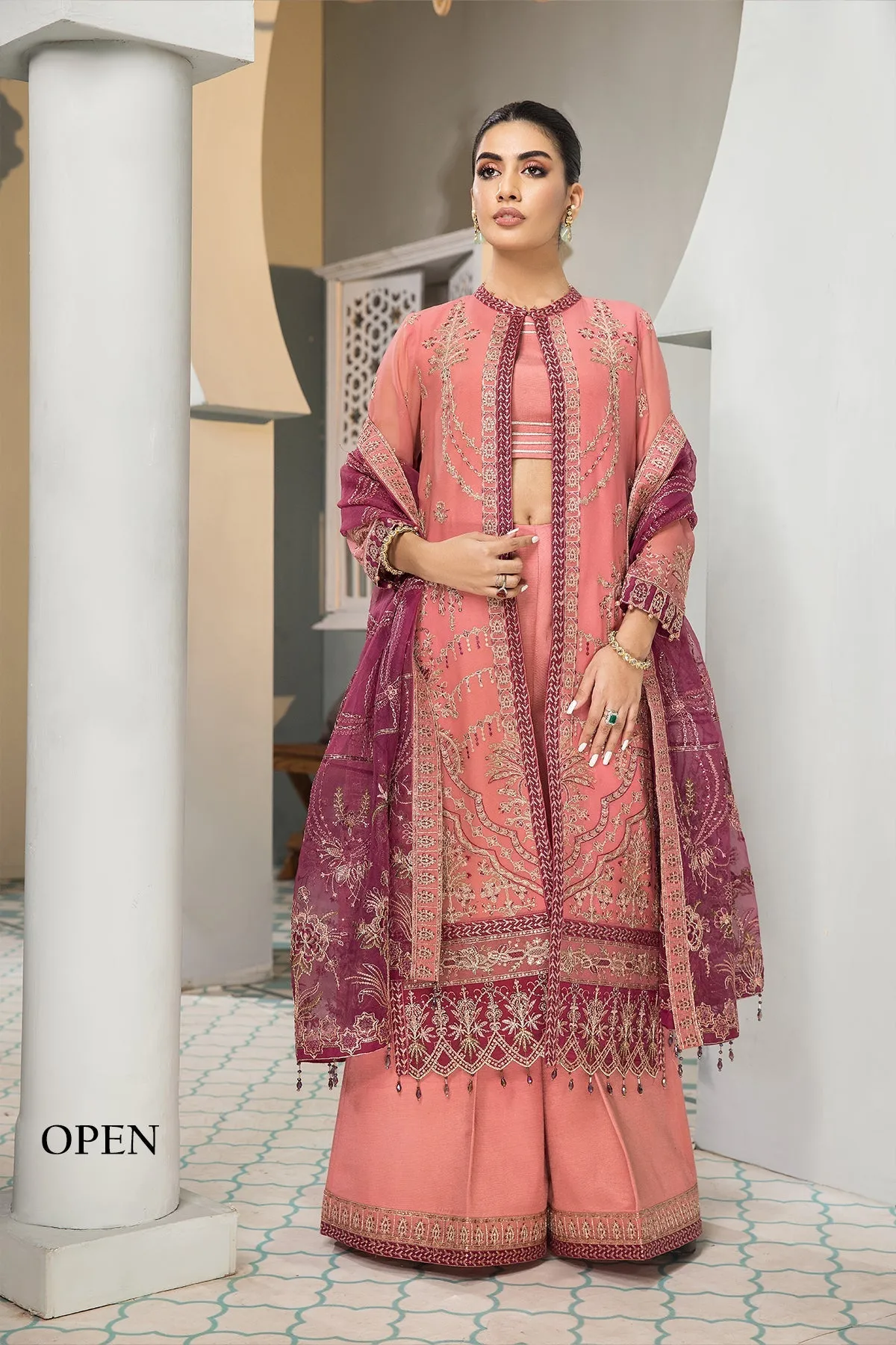 Alizeh Vasl-e-Miras Luxury Festive Formal Collection – Zeina