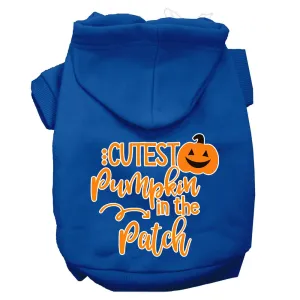 Cutest Pumpkin In The Patch Screen Print Dog Hoodie Blue M