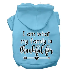 I Am What My Family Is Thankful For Screen Print Dog Hoodie Baby Blue S