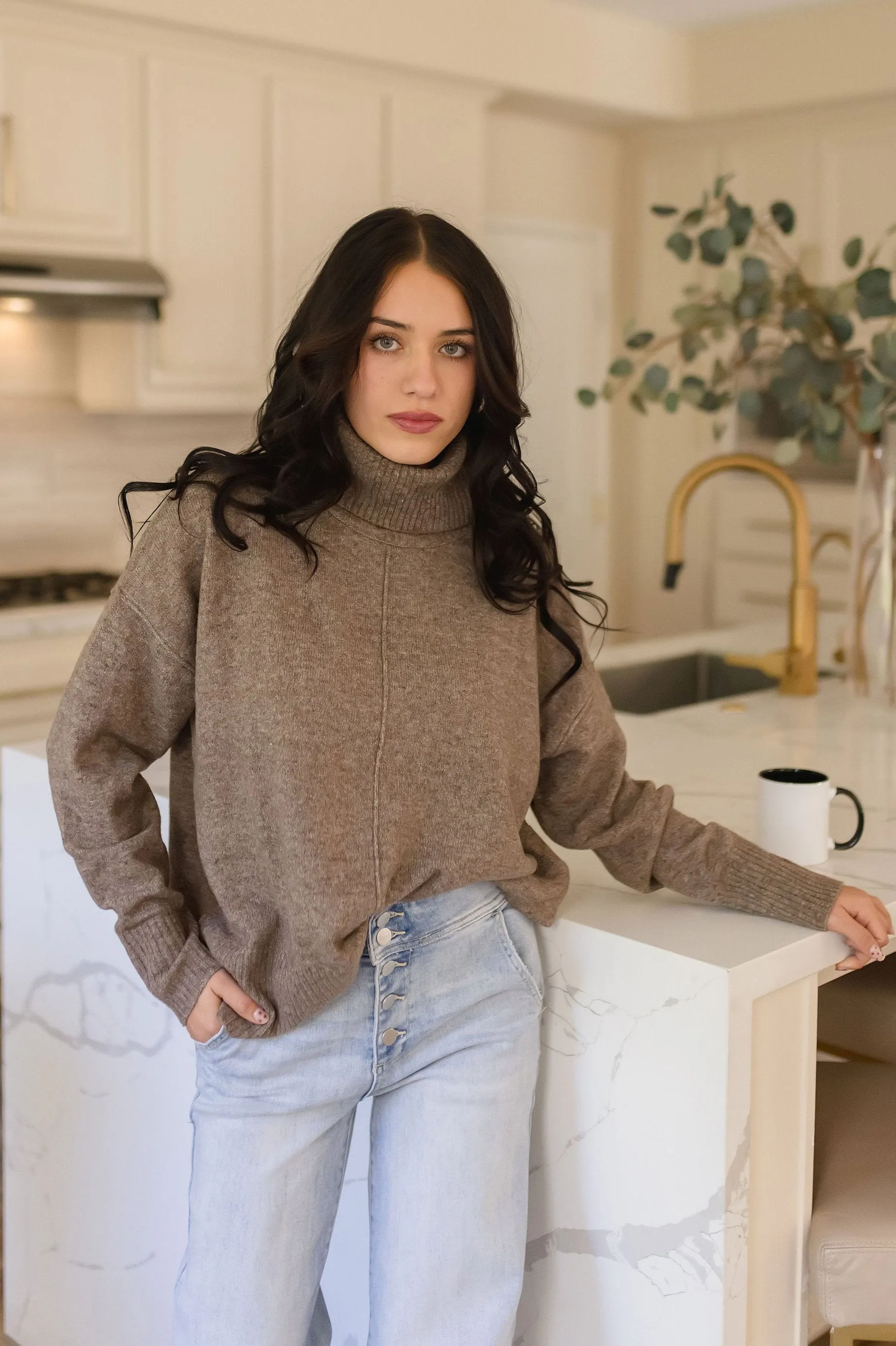 Whitley Long Sleeve Turtleneck Sweater Top Taupe